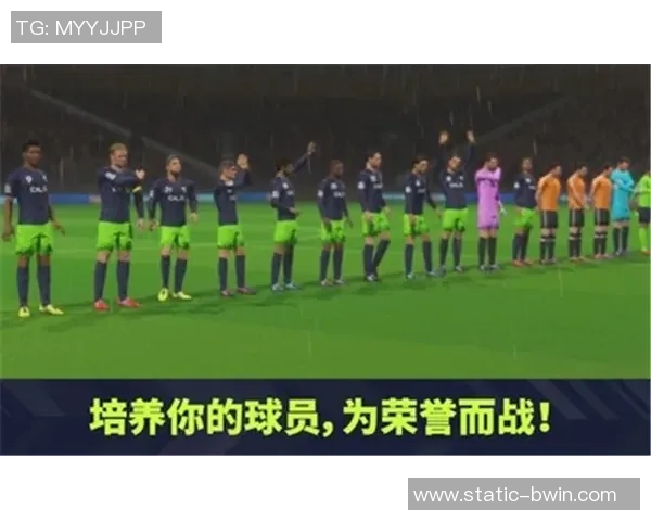 梦幻足球联盟比赛盛况空前球迷热情高涨尽享足球魅力