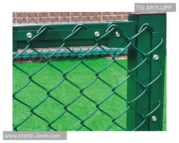 足球场护栏网图片展示与应用分析助力提升场地安全性与观赏体验